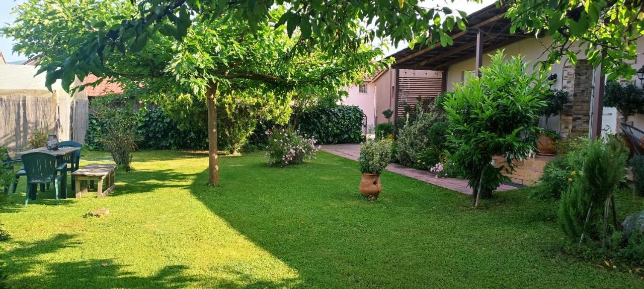 Villa Gomfoi Trikala - Smart Town Bnb 外观 照片