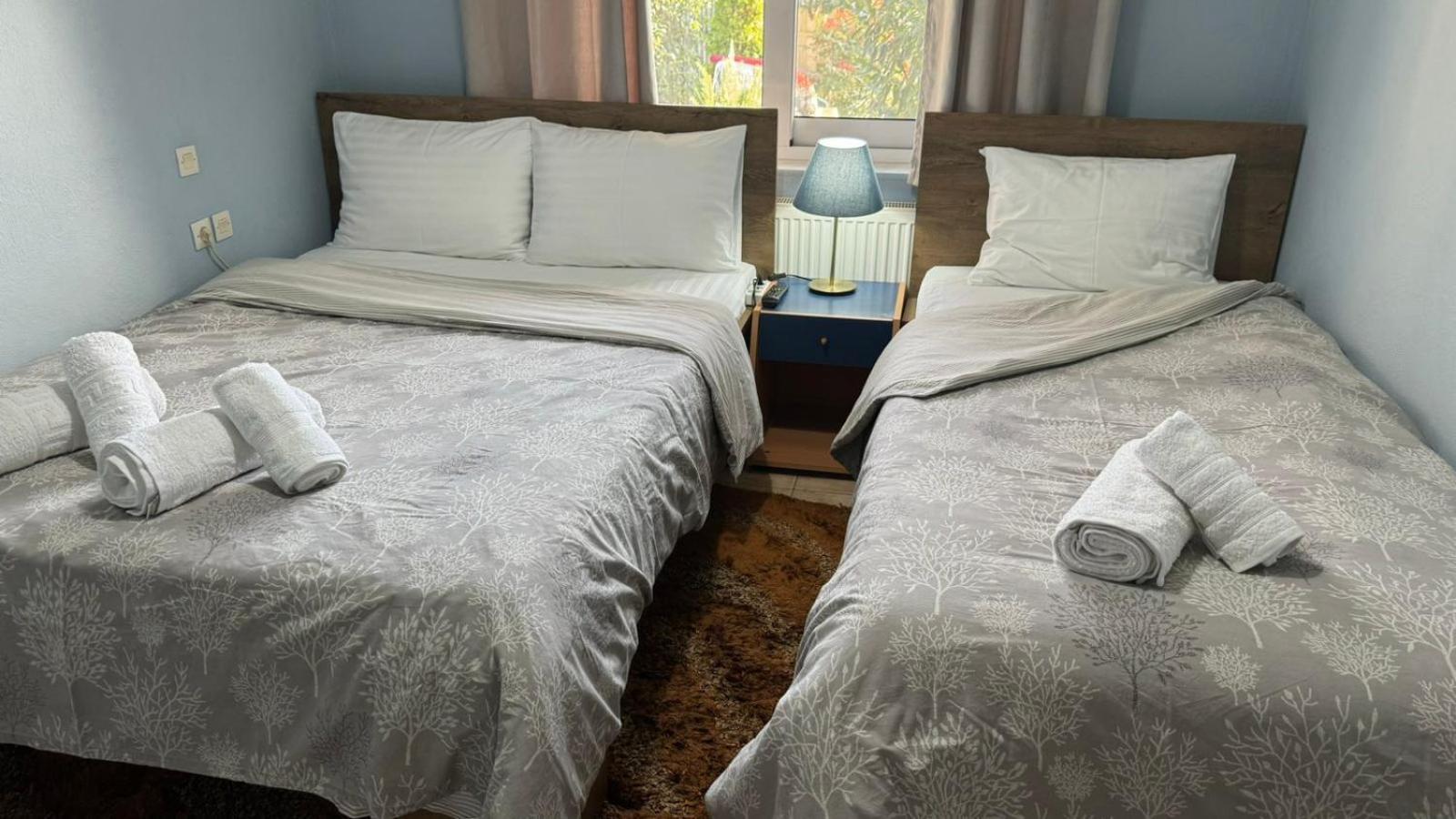 Villa Gomfoi Trikala - Smart Town Bnb 外观 照片