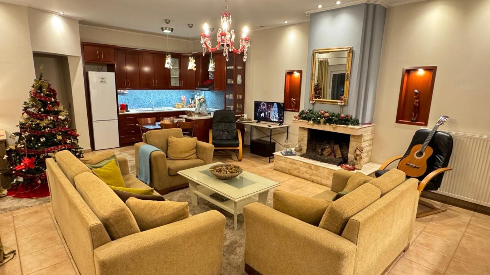 Villa Gomfoi Trikala - Smart Town Bnb 外观 照片